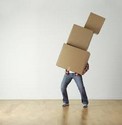 Dommage je peux pas les emmener en voyage cartons qui ne partent pas en voyage