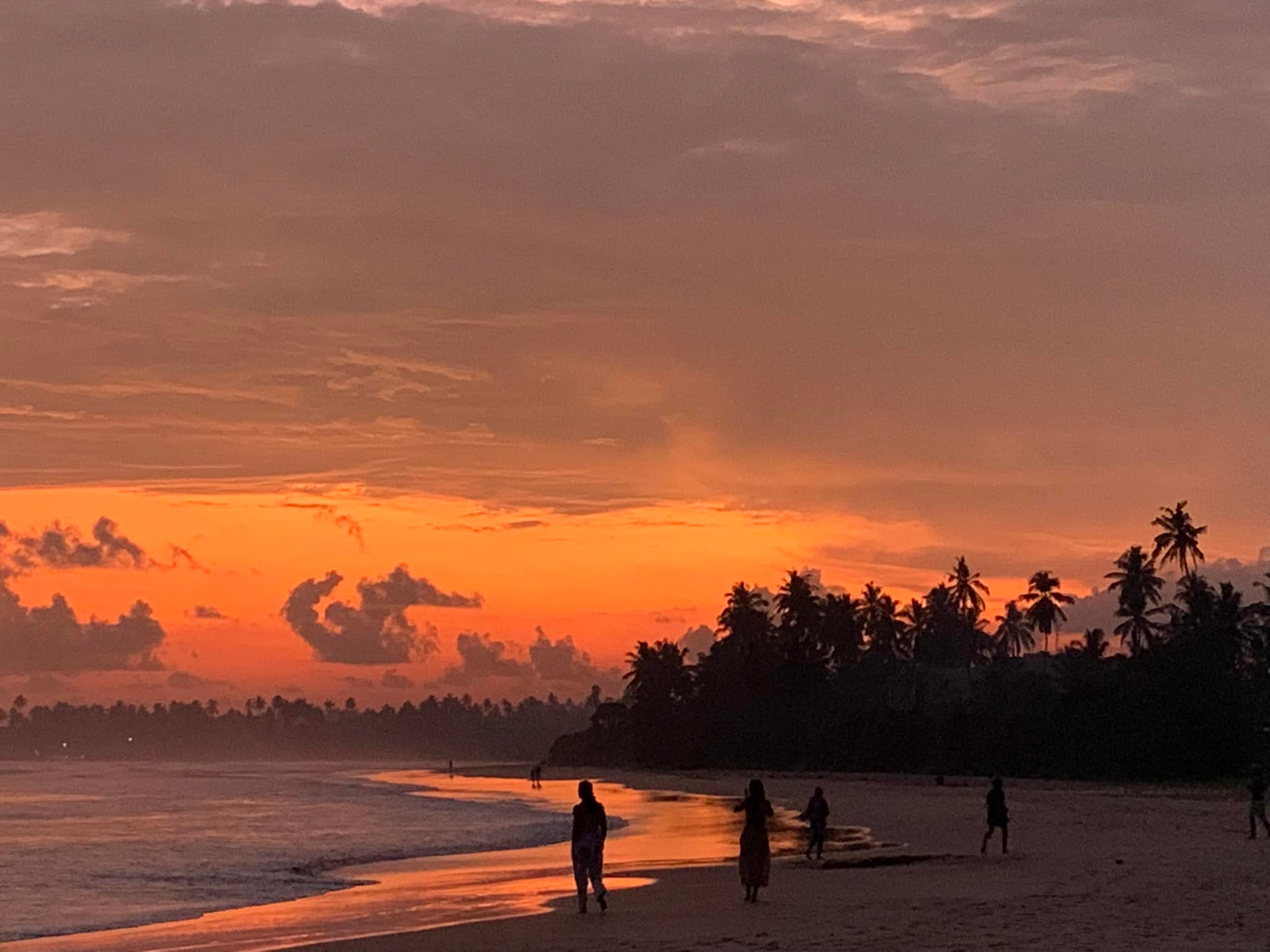 133 semaine piedepage