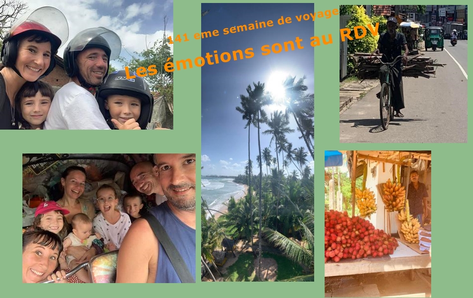 ENTETE 141 EME SEMAINE