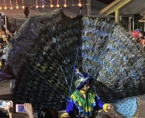 femmes plumes de  paon