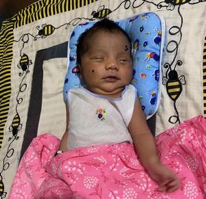 le petit baba sri lankais