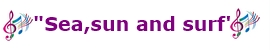 sea sun surf