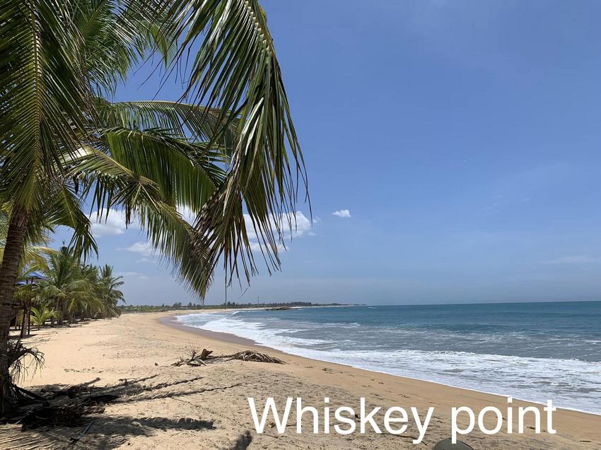 whisky point