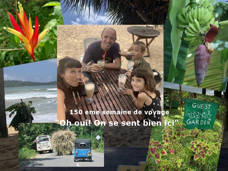 image ici on se sent bien à sri lanka