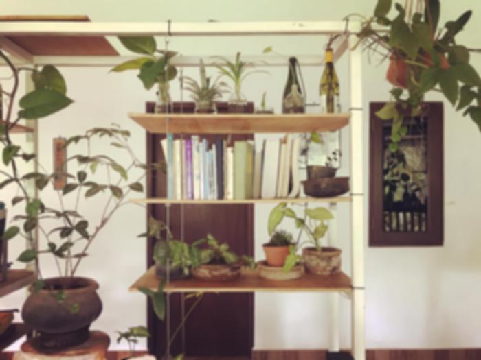 bibliothque internationale