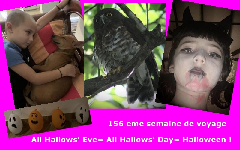 entte 156 eme semaine de voyage