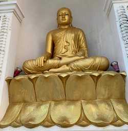 boudha assis