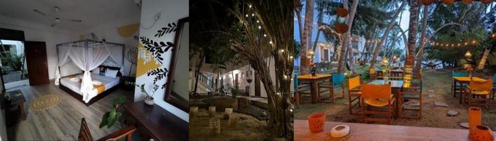 "voulez vous au Sri Lanka"  "voulez vous au Sri Lanka"