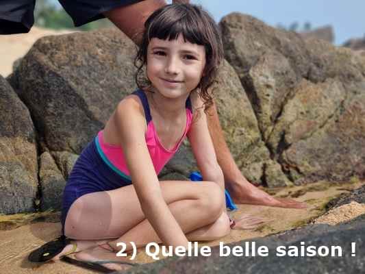 entête blog quelle belle saison